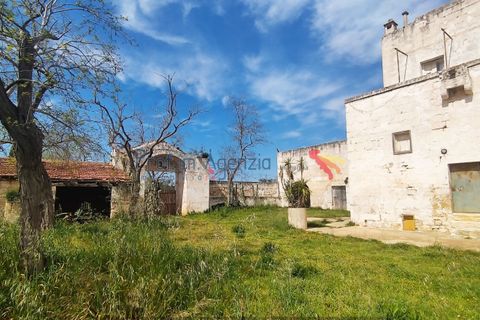 Landejendom i Carovigno, Brindisi, Carovigno - € 3.500.000 | Ref: 122559 - foto 4